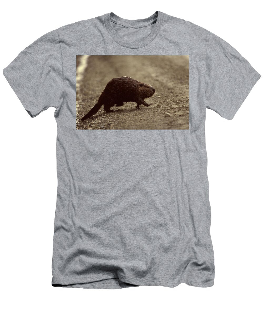 7 Environmental Woes of Tierra Del Fuego Kevin Moloney T-Shirt