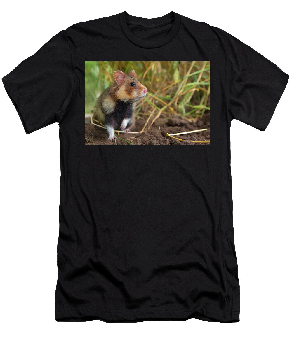 8 European Hamster in a Ripe Wheat Field Limburg the Edwin Giesbers Natureplcom T-Shirt