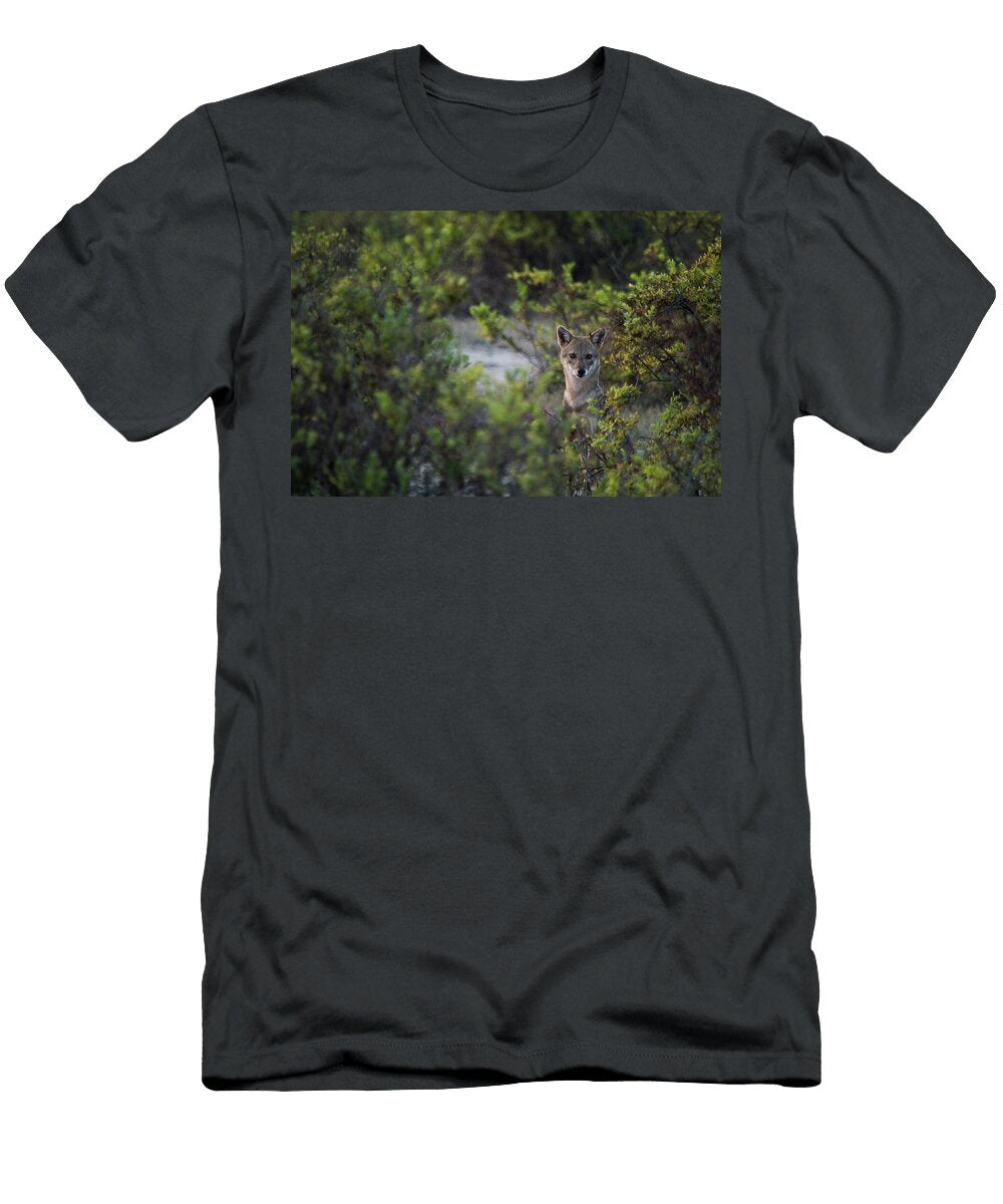 82 Beautiful Wildlife Photography Jeramy Hinfelaar T-Shirt