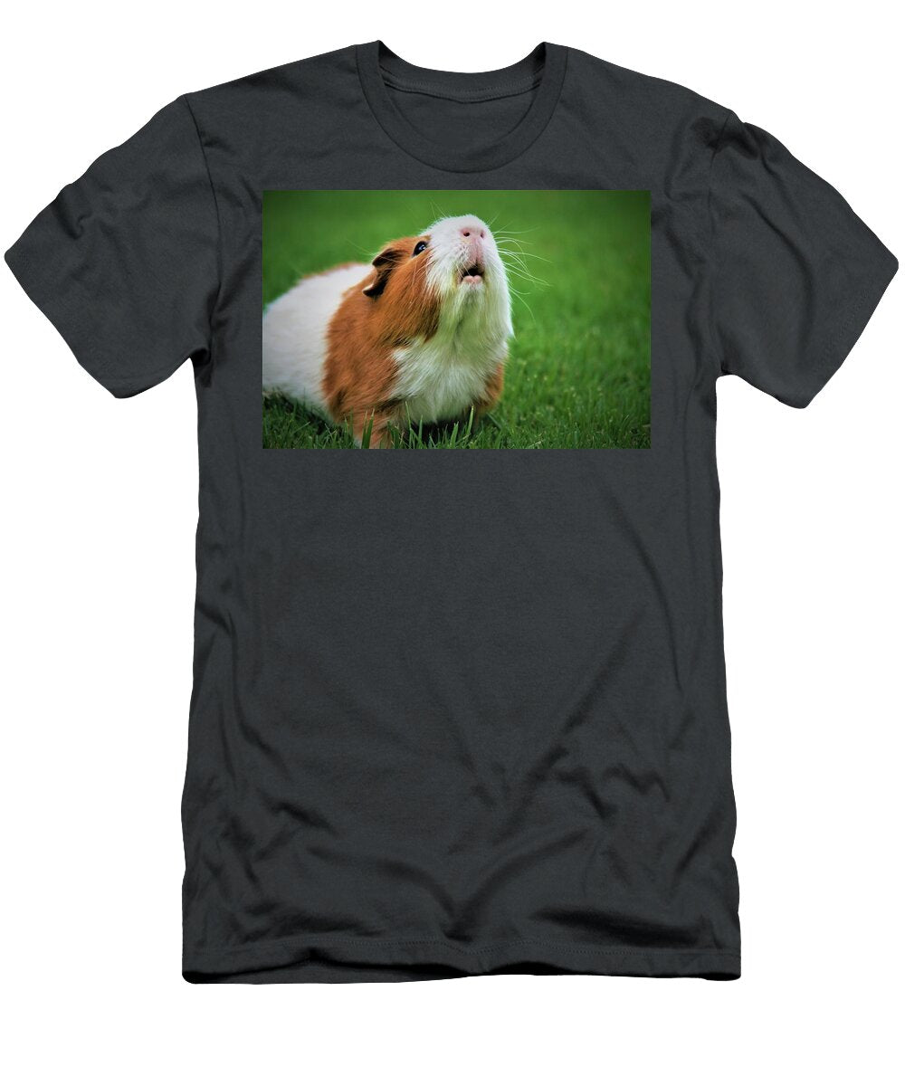 936 Nature Les Classics T-Shirt