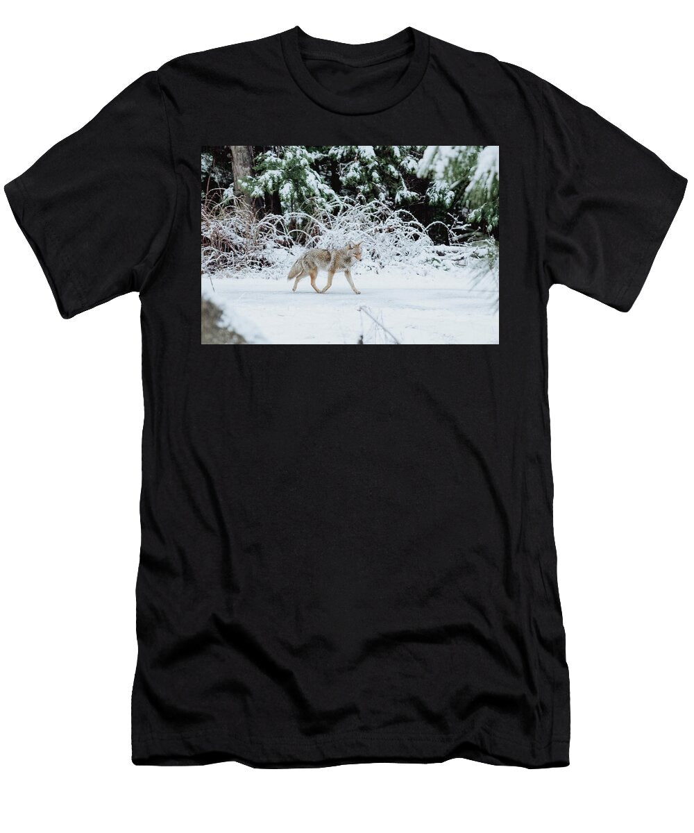 96 Wildlife Photography Jeramy Hinfelaar T-Shirt