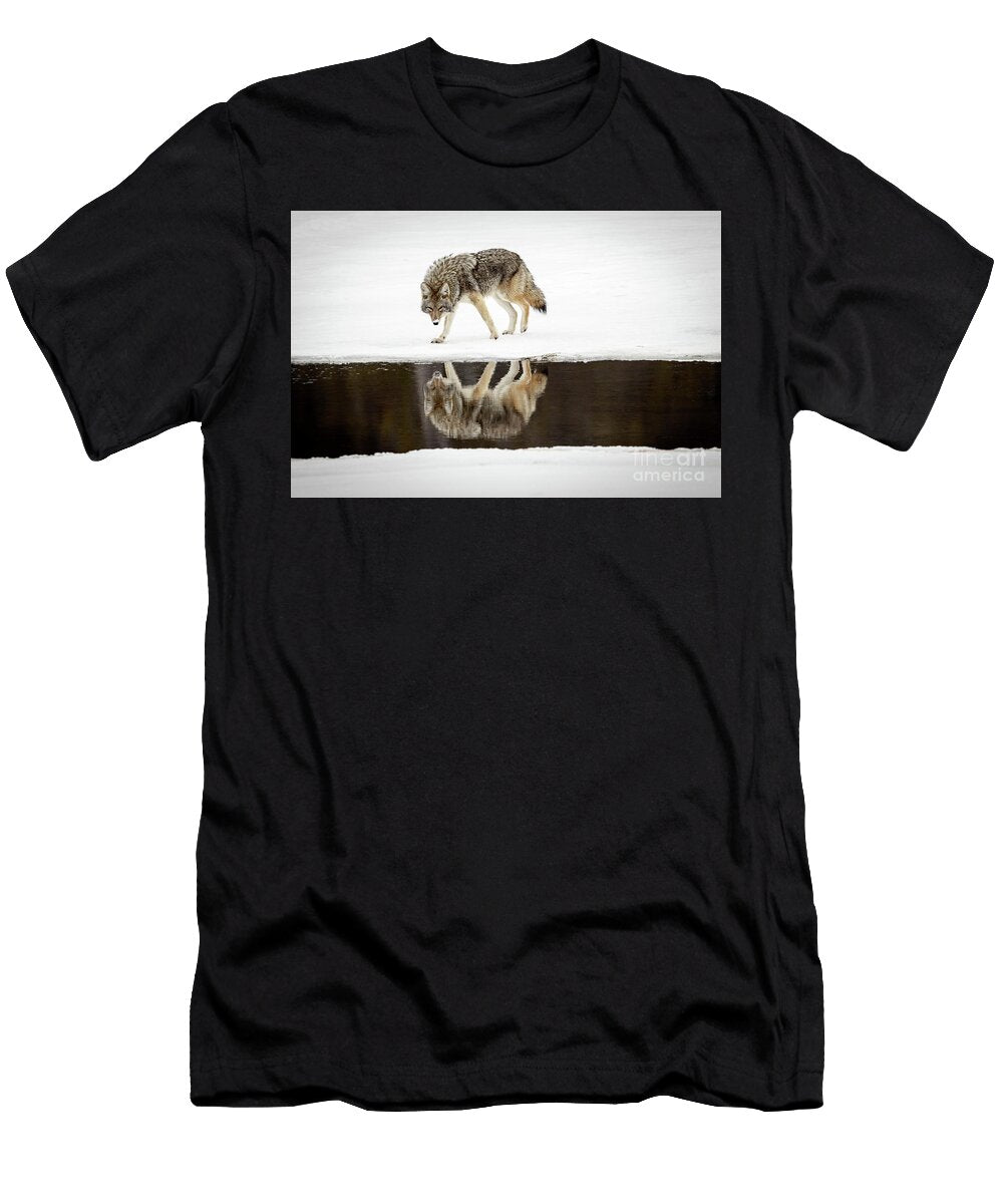 A Coyote and His Reflection Todd Bielby T-Shirt