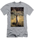 A Coyote Canis Latrans Stares Jeff Diener T-Shirt