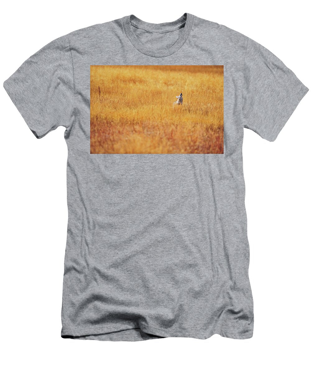 A Coyote Hunting Insects in a Golden Keith Ladzinski T-Shirt