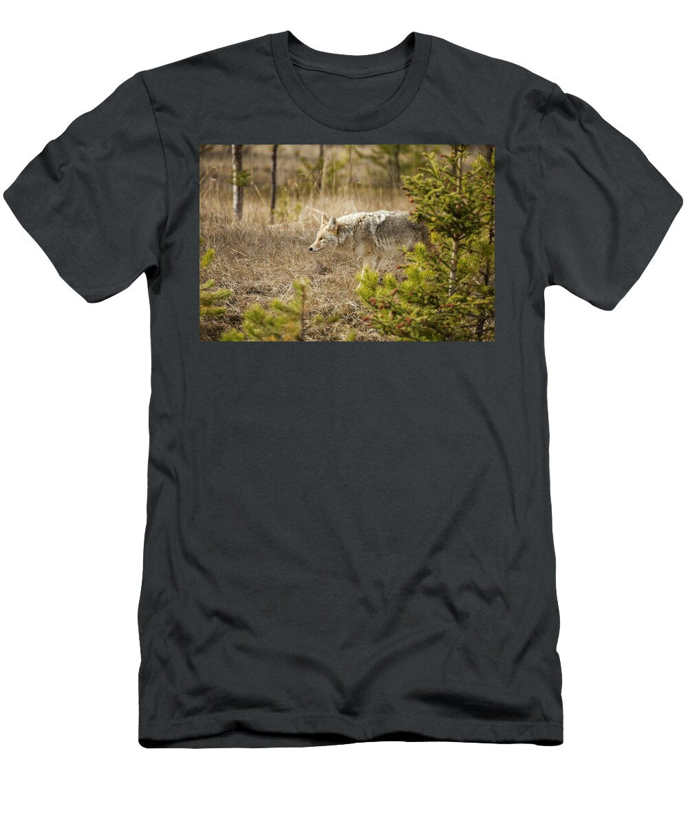A Coyote in Jasper National Park Christopher Kimmel T-Shirt