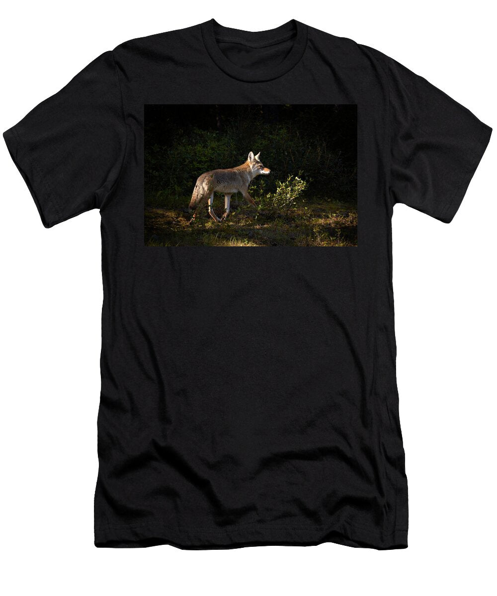 A Coyote Runs Through the Forest Todd Korol T-Shirt