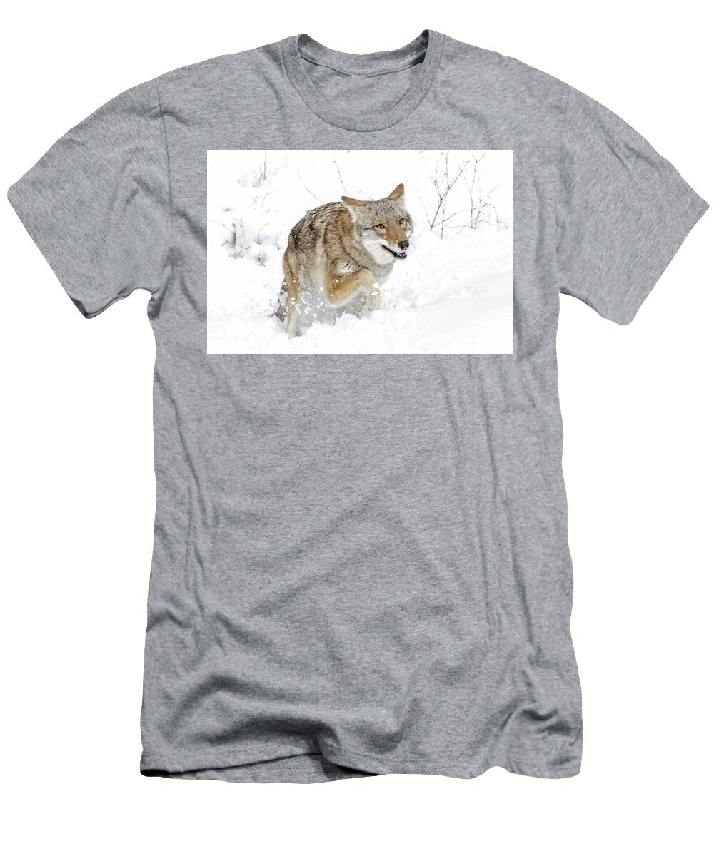 A Coyote Winter Playground Athena Mckinzie T-Shirt