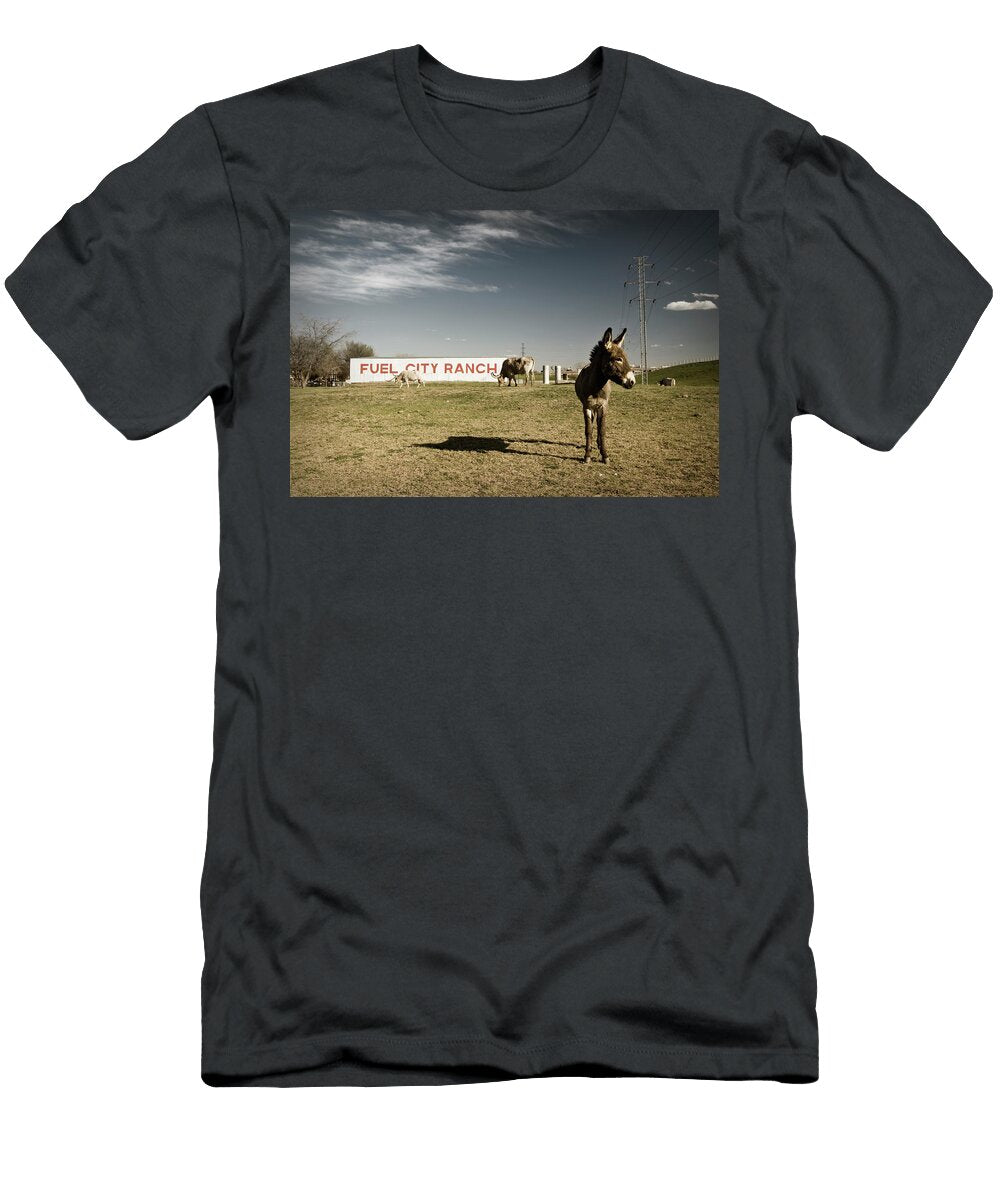 A Donkey and 2 Long Horns Graze Dave Shafer T-Shirt