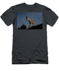 A Donkey Looks Out From Behind a Barbed Chico Sanchez T-Shirt