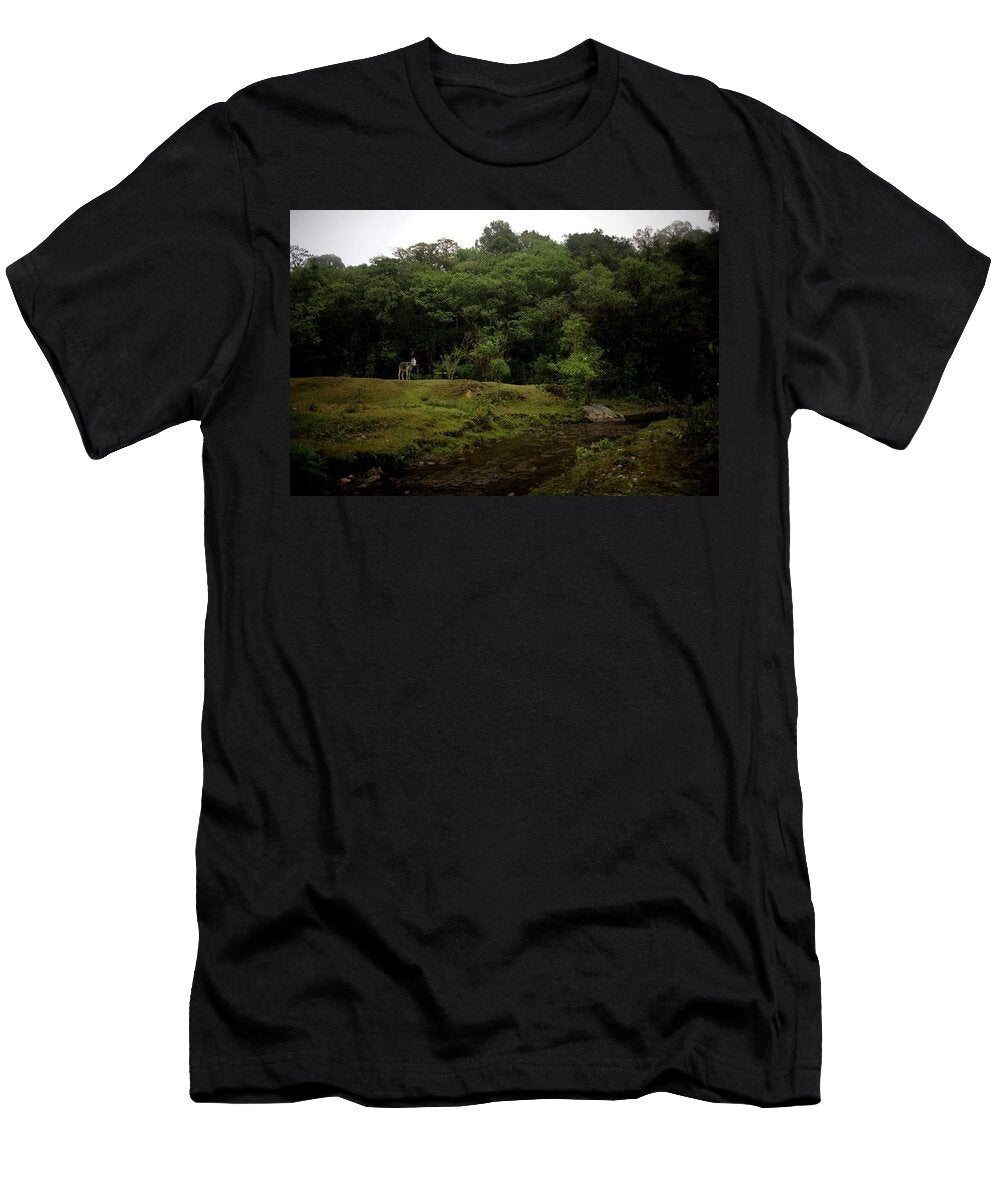 A Gray Donkey Stands Near the River Chico Sanchez T-Shirt