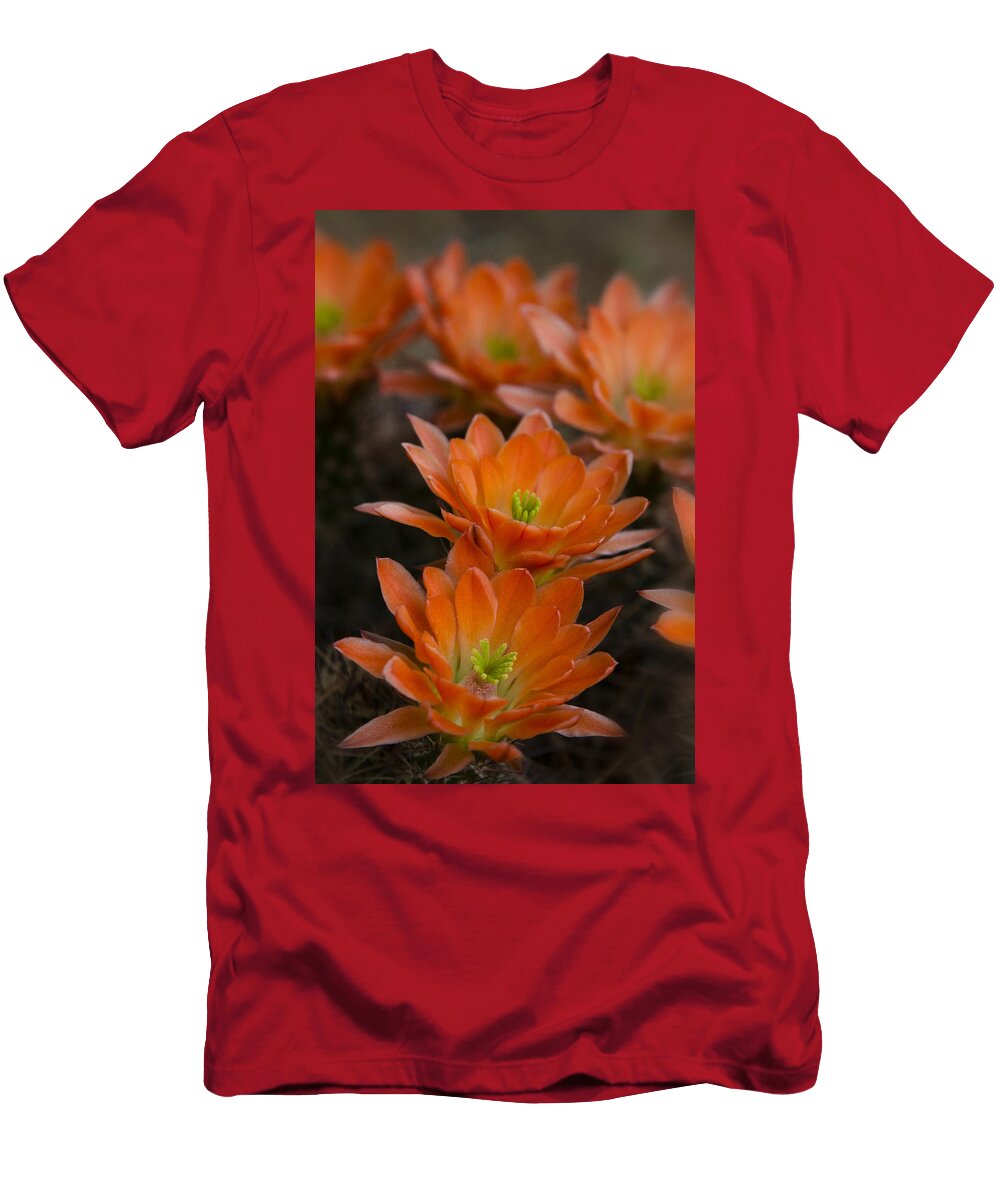 A Hedgehog Bouquet Saija Lehtonen T-Shirt