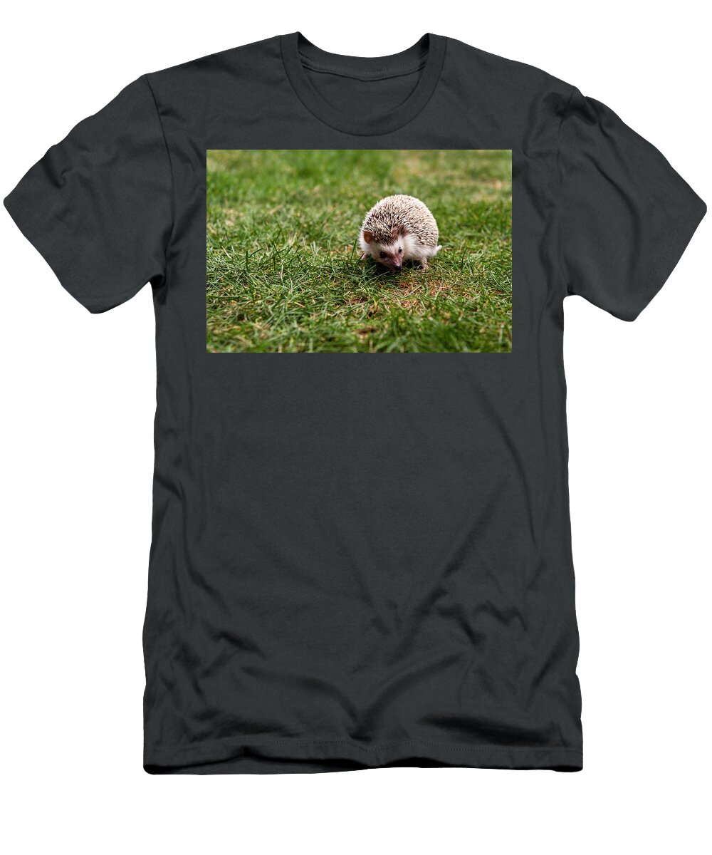 A Hedgehog on Grassy Field Joseph De Sciose T-Shirt