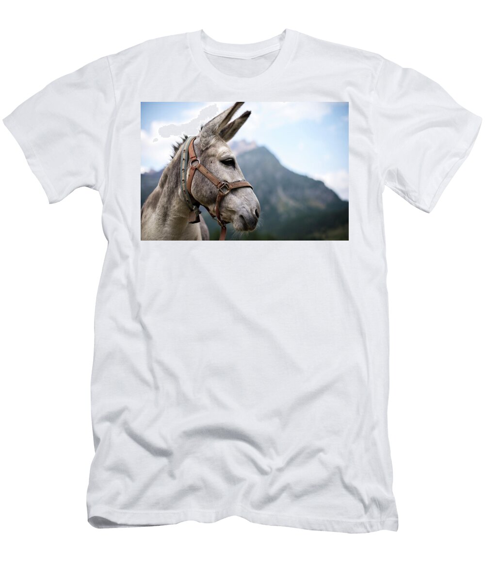 A Little Donkey in the Beautiful Paolo Sartori T-Shirt