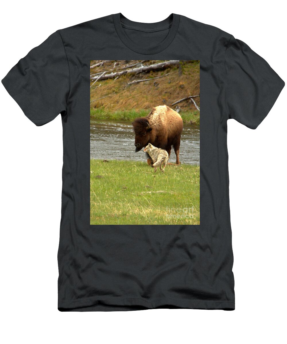 A Pause in the Yellowstone Battle Adam Jewell T-Shirt