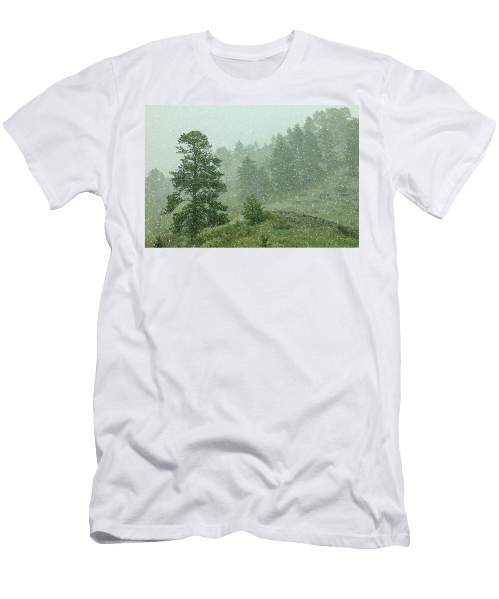 A Snow Falls Todd Klassy T-Shirt