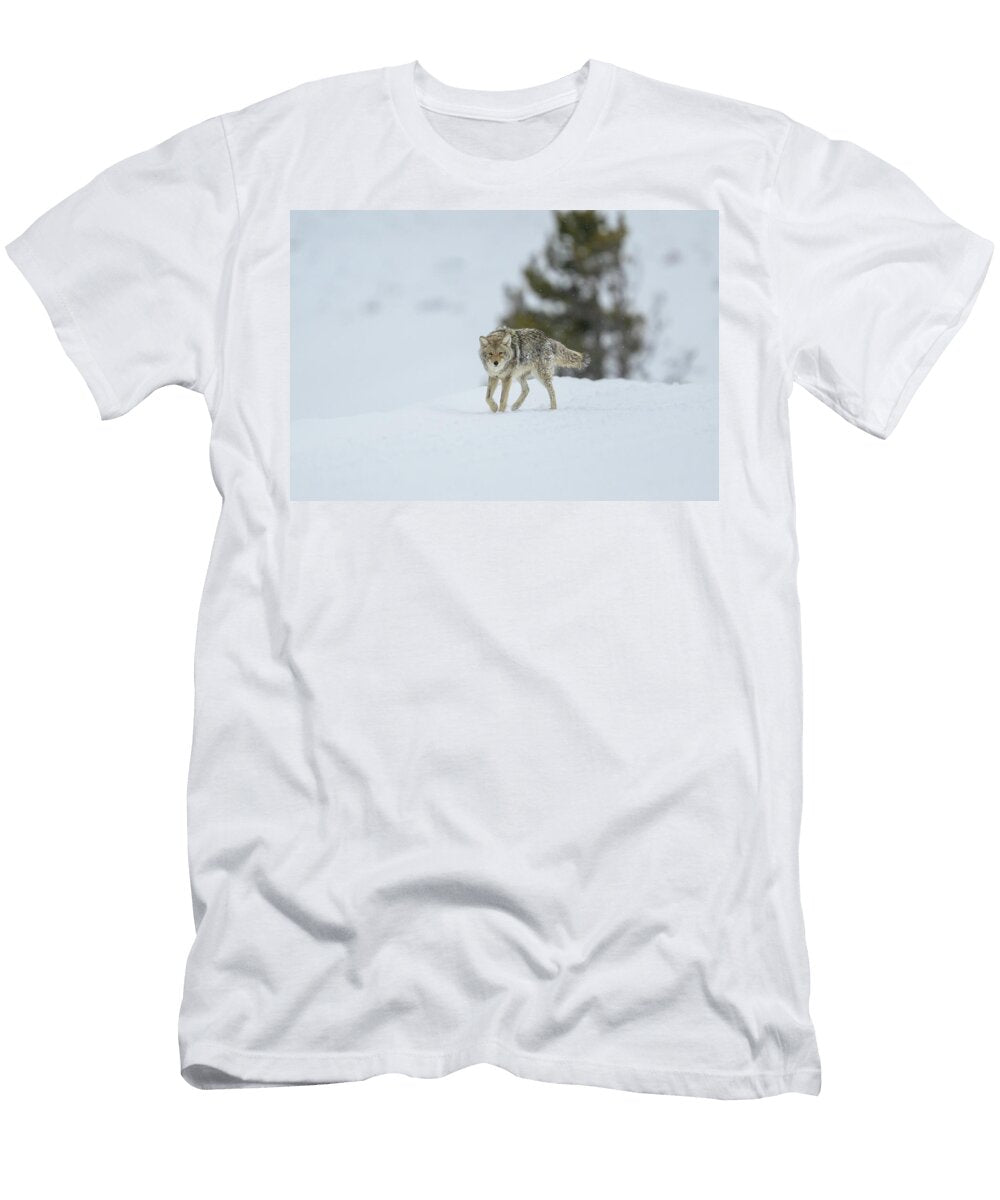 A Solitary Coyote in Snowy Landscape Anita Wooldridge T-Shirt