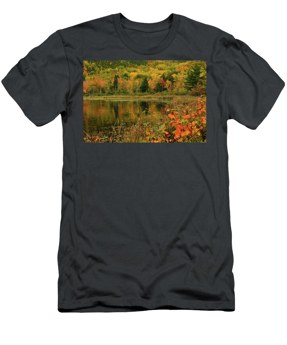Acadia National Park Fall Reflection 1 Dean Hueber T-Shirt