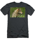 Adult Coyote Canis Latrans Debbie Dicarlo T-Shirt