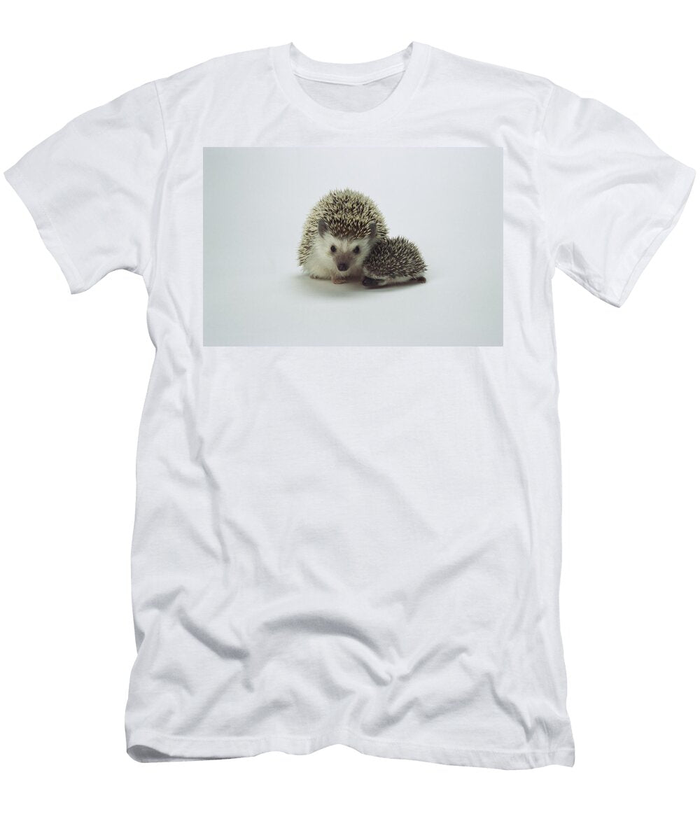 African Hedgehog Mother and Baby San Diego Zoo T-Shirt