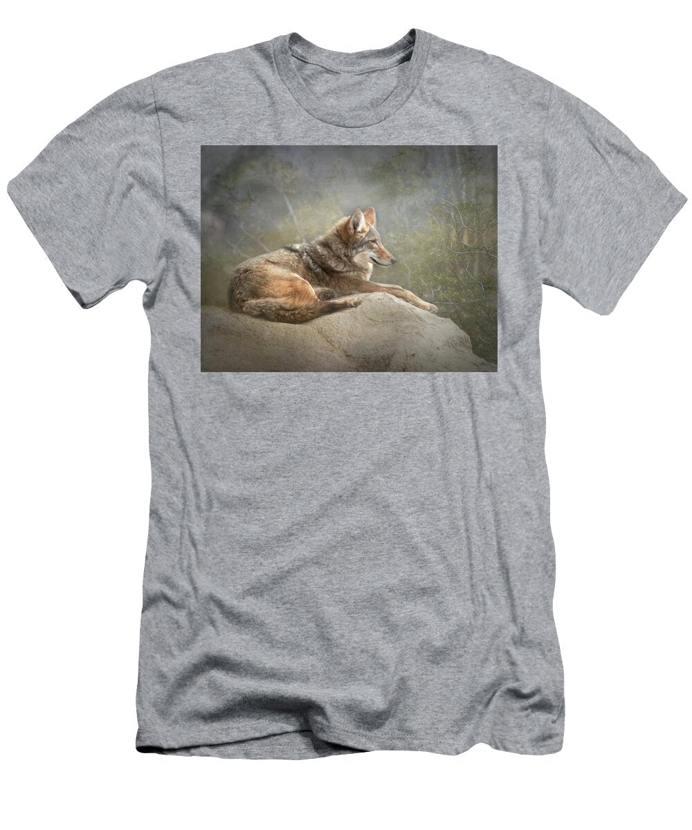Afternoon Repose Teresa Wilson T-Shirt