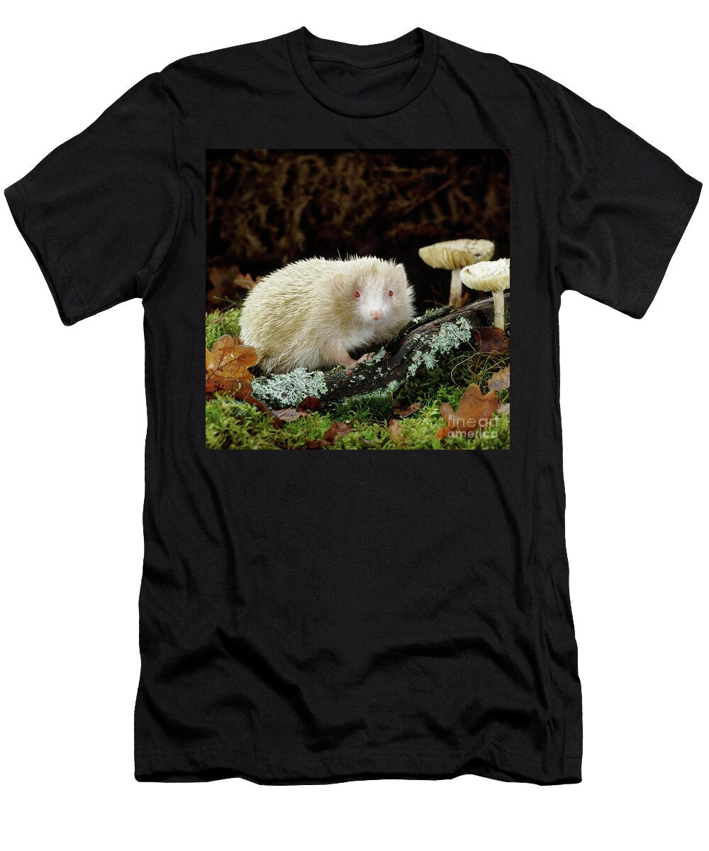 Albino Hedgehog Warren Photographic T-Shirt