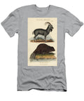 Alpine Ibex and European Beaver or Common Beaver Alpine Ibex Goat Capra Ibex and Common Eurasian Beaver Castor Fiber Sydenham Teast Edwards T-Shirt