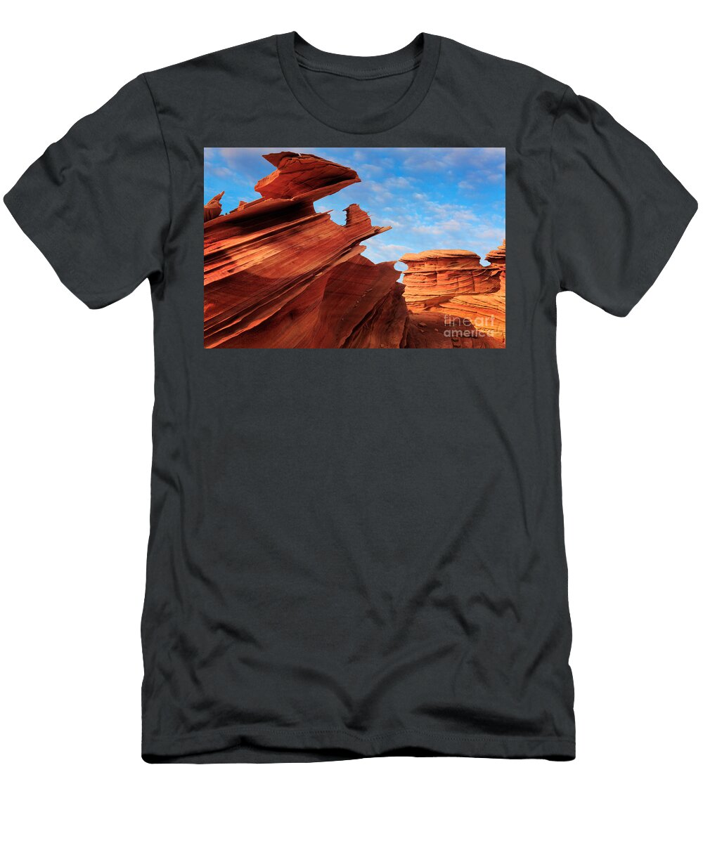 Altar of Sacrifice Inge Johnsson T-Shirt