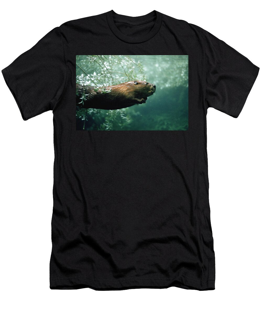 American Beaver Castor Canadensis Konrad Wothe T-Shirt
