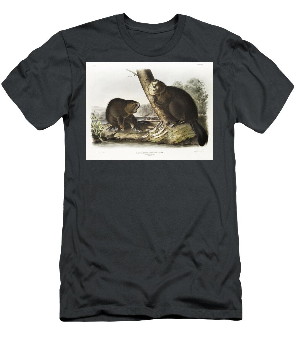 American Beaver Castor Fiber Americanus From the Viviparous Quadrupeds of North America 1845 Illustr Les Classics T-Shirt