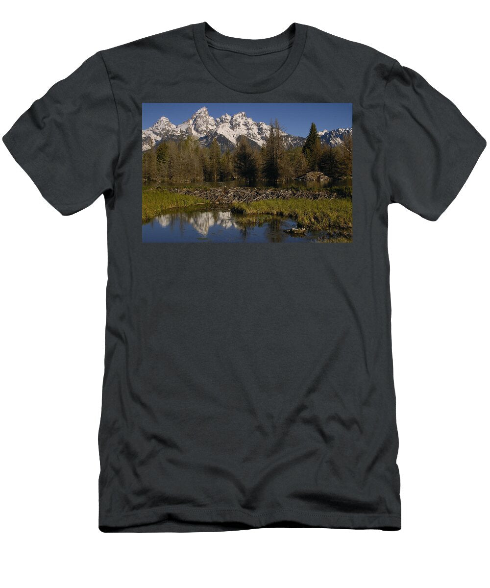 American Beaver Dam and Lodge Grand Pete Oxford T-Shirt