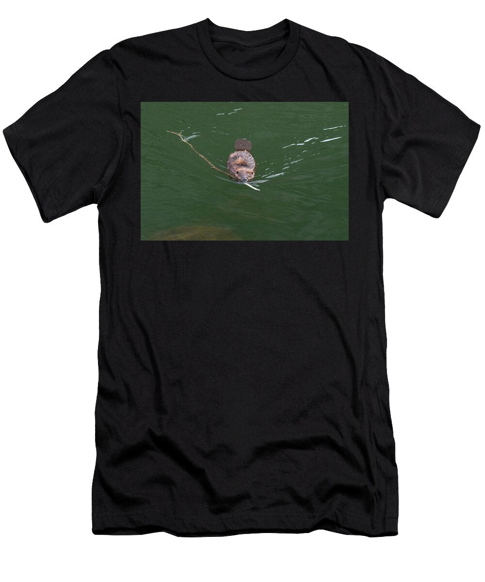 American Beaver Swimming to the Bank Dragging a Small Charlie Summers Natureplcom T-Shirt