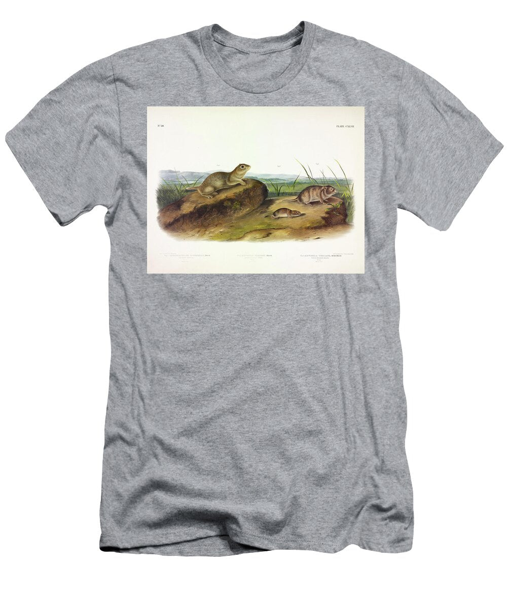 American Souslik Oregon Meadow Mouse Texan Meadow Mouse John James Audubon T-Shirt