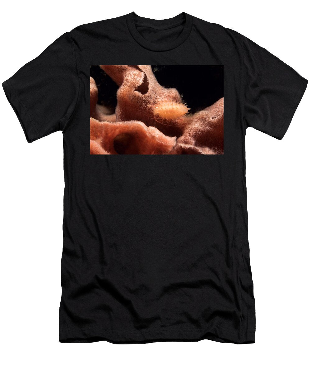Amphipod on Sponge Andrew J Martinez T-Shirt