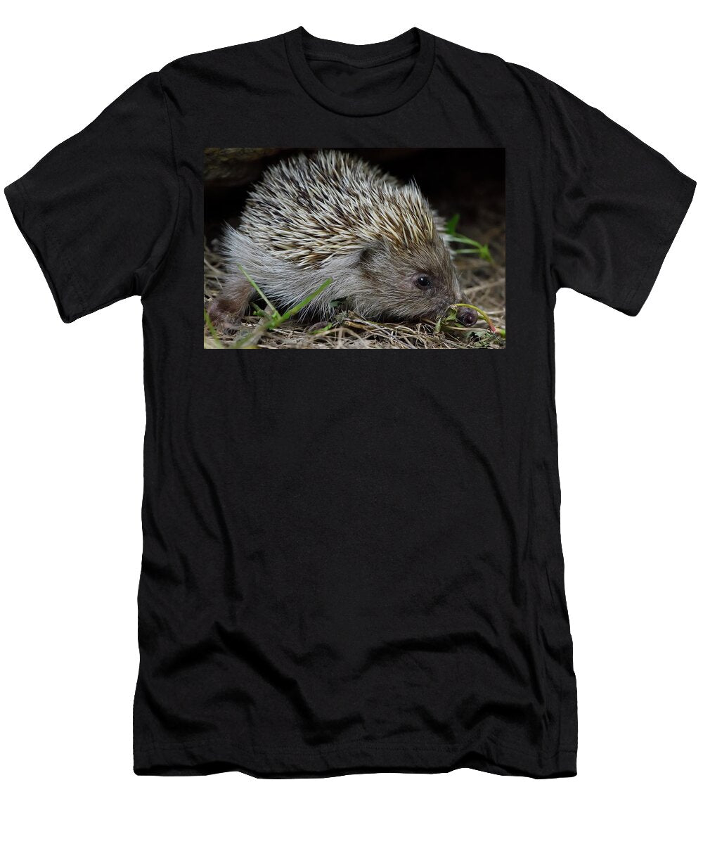 Amur Hedgehog East Lake Greenway Park Wuhan Hubei Staffan Widstrand Wild Wonders of China Natureplcom T-Shirt