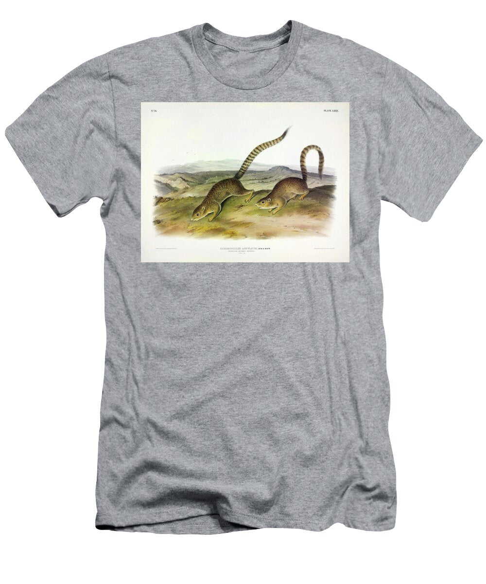 Annulated Marmot Squirrel John James Audubon T-Shirt
