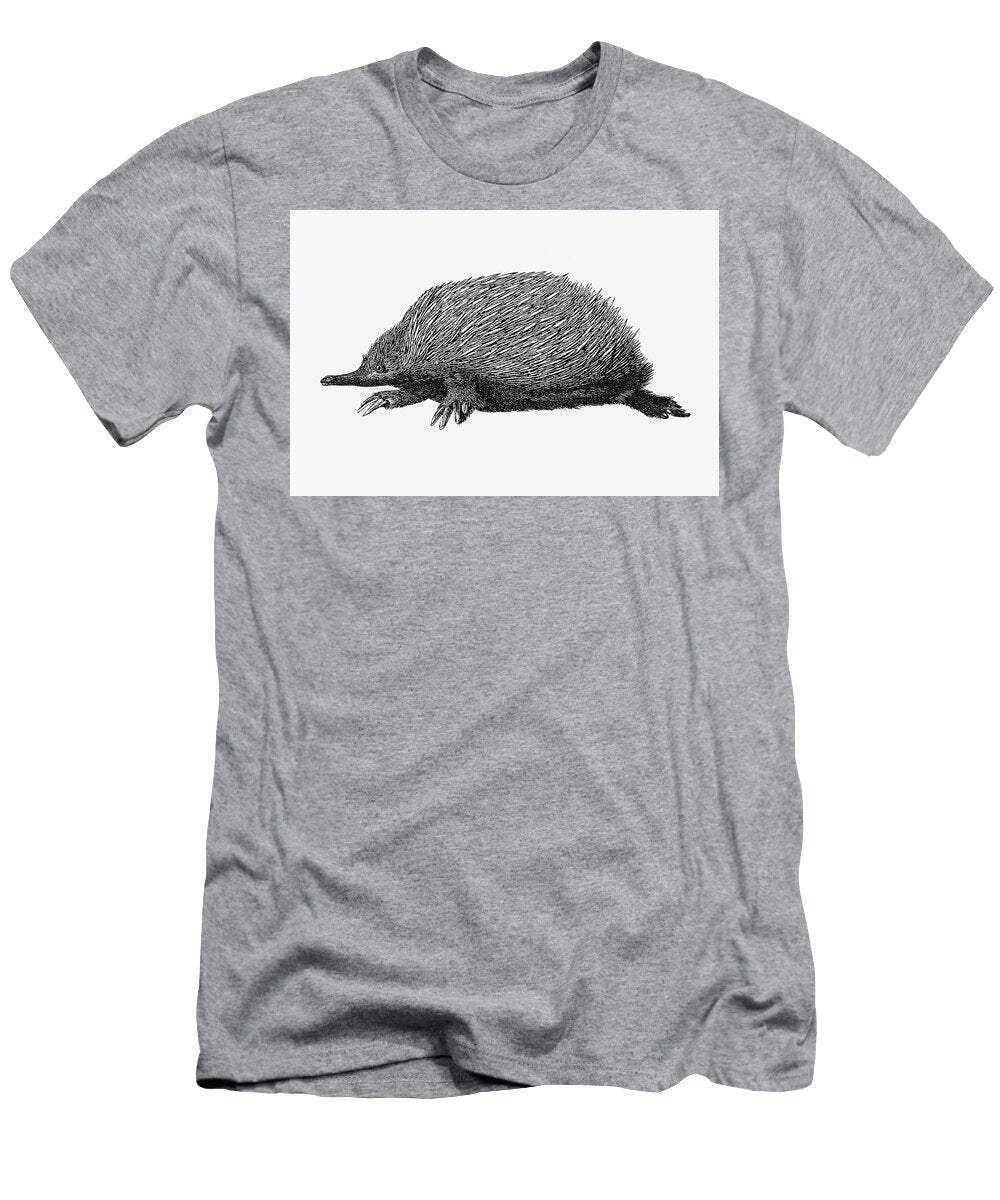Anteater From Im Australischen Busch Und an Den Kusten Des Korallenmeeres Reiseerlebnisse Und Beobac Les Classics T-Shirt