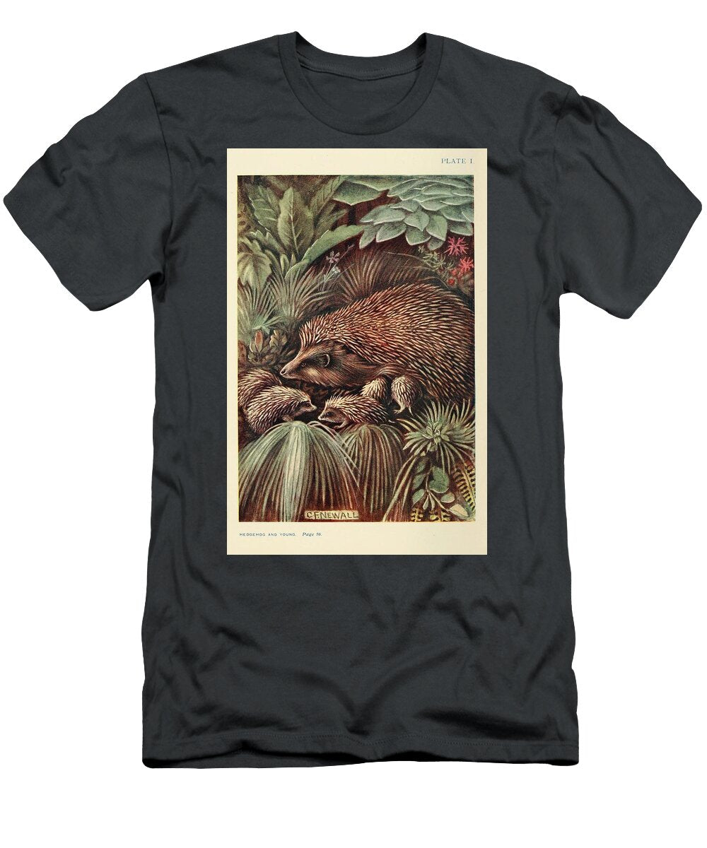 Antique Hedgehogs Beautiful Nature Prints T-Shirt