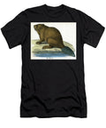 Antique Print of a Beaver 1859 American School T-Shirt