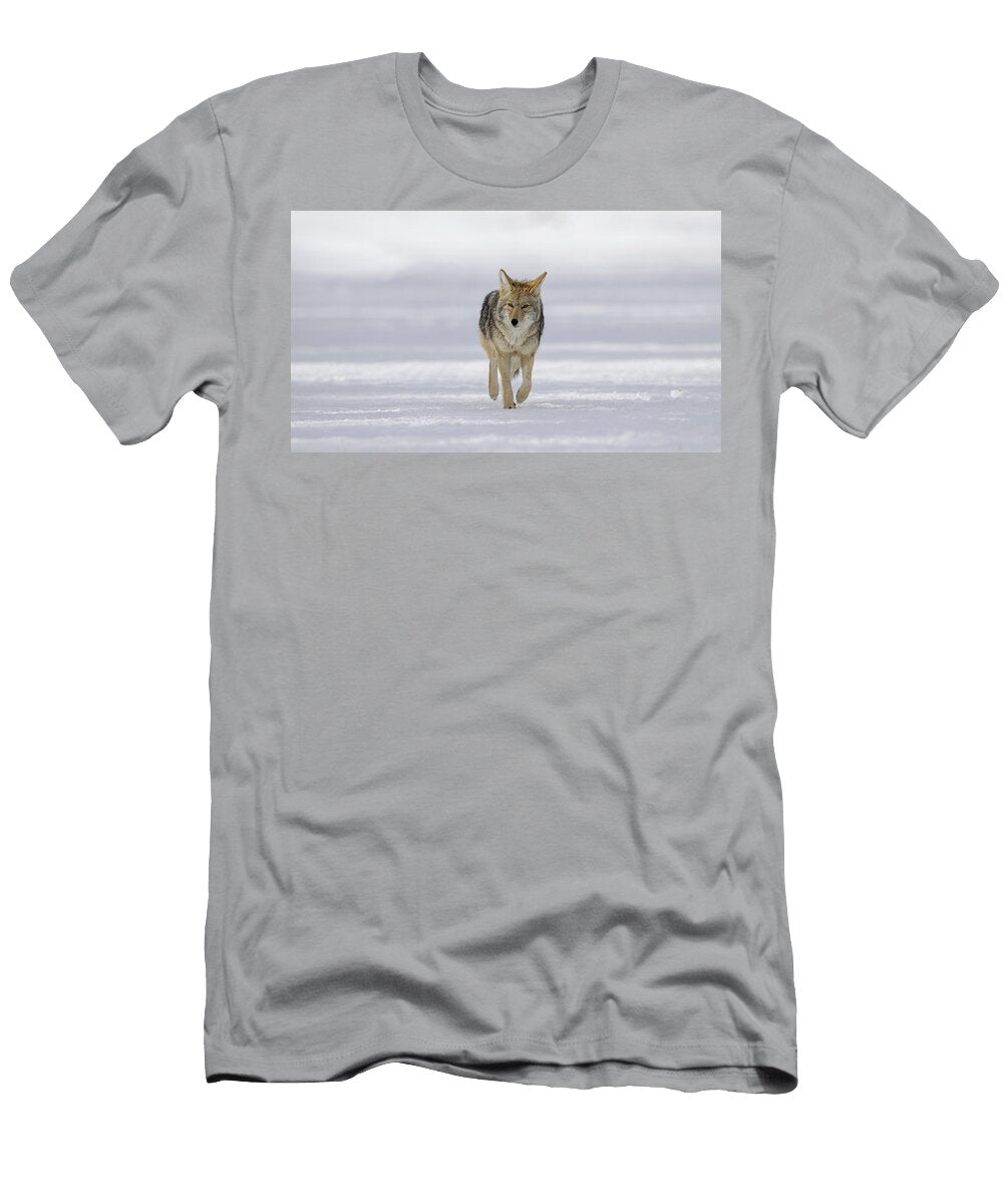 Approaching Coyote Walking on Snow Covered Ground Anita Wooldridge T-Shirt