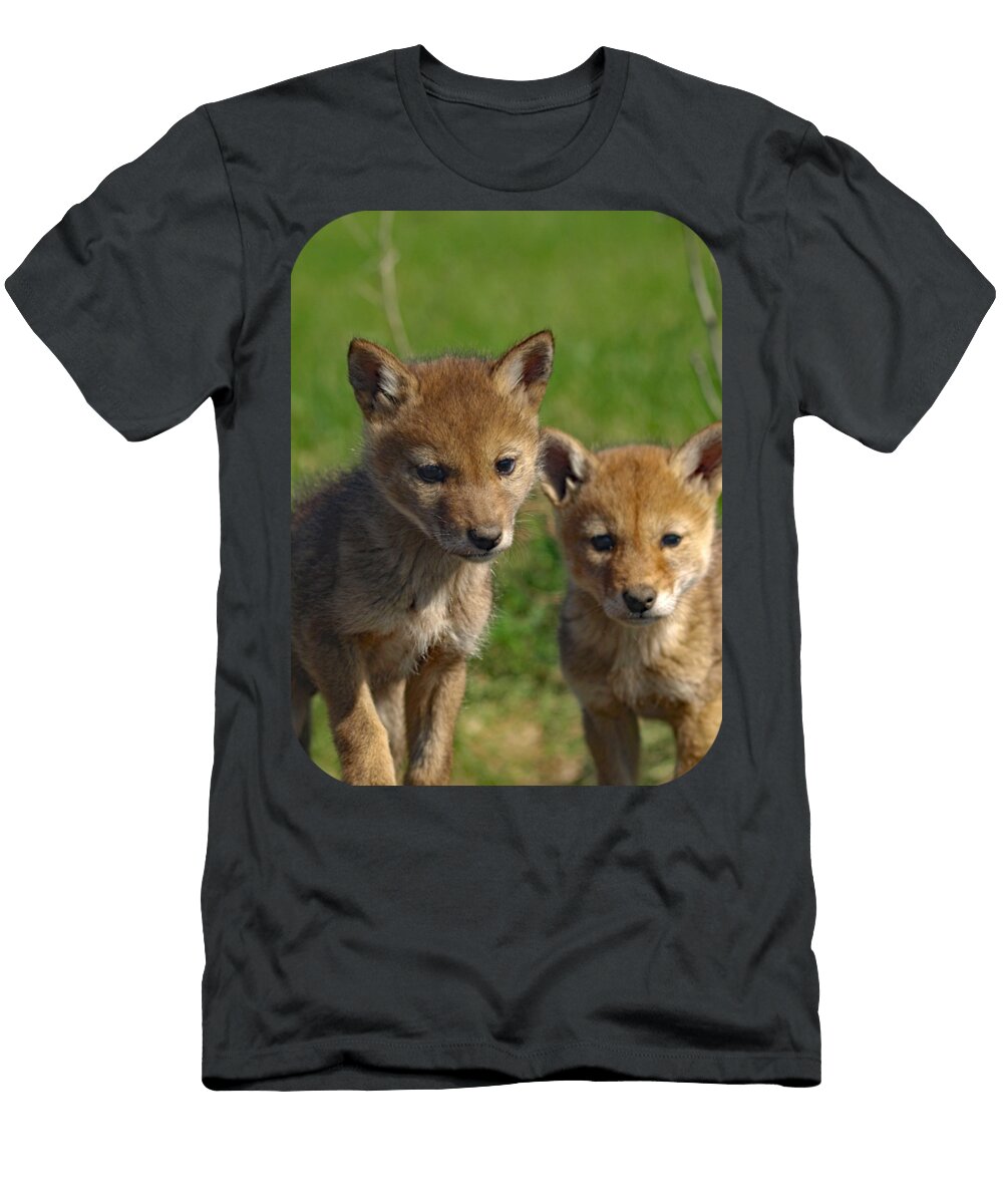 Artworkimage Medium 34244799 19451079 T-Shirt