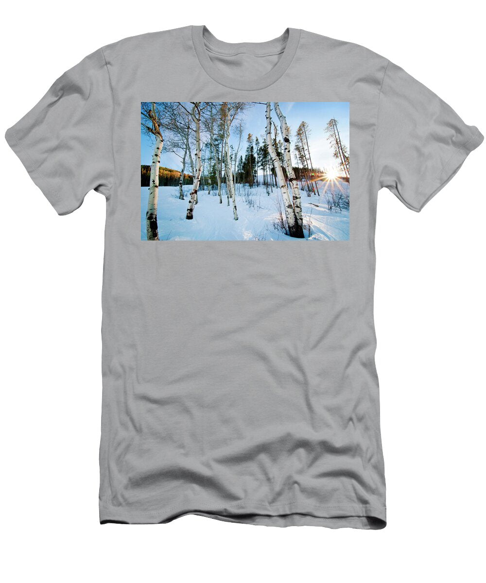 Aspen Tree Colony in a Snow Covered Leslie Parrott T-Shirt
