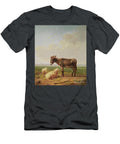 Ass and Sheep 1849 Eugene Joseph Verboeckhoven T-Shirt