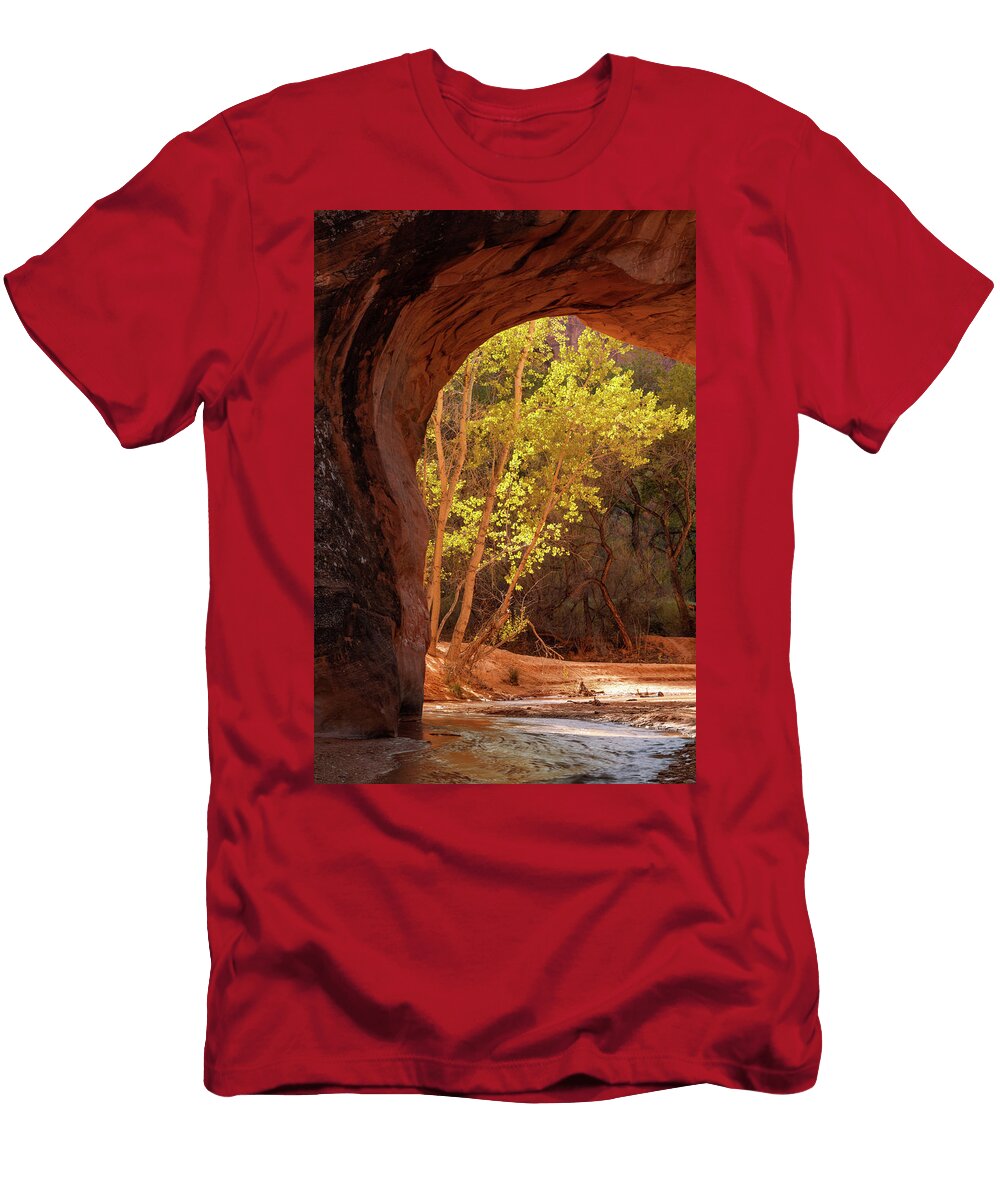 Autumn Arch Dustin Lefevre T-Shirt