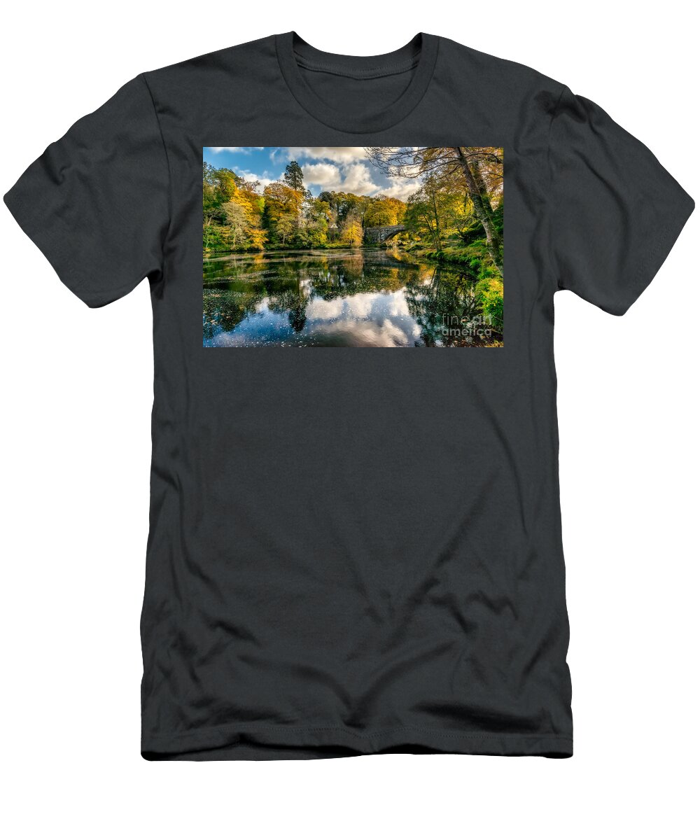 Autumn Bridge Adrian Evans T-Shirt
