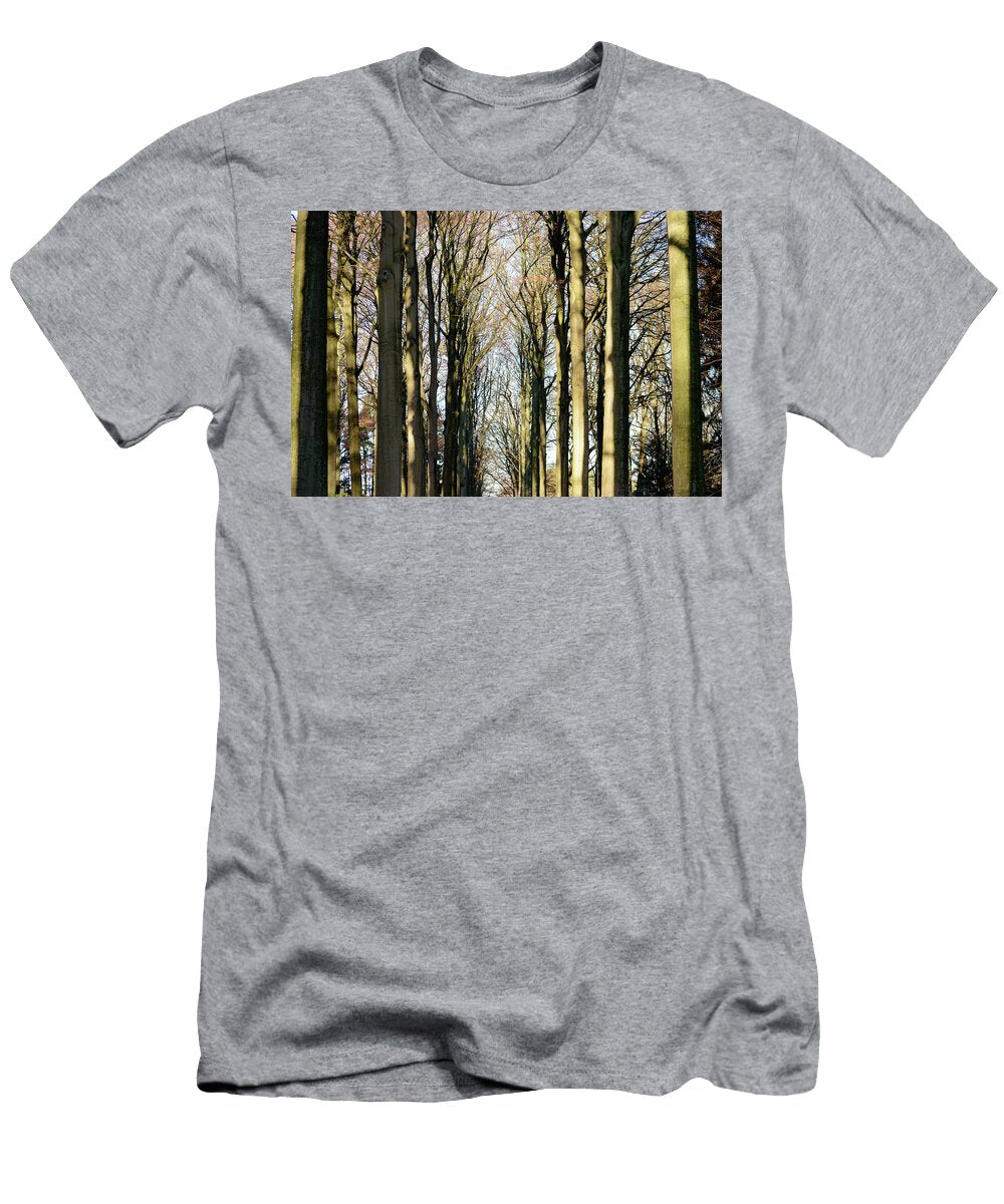 Autumn Colored Tree Lane Johan Ferret T-Shirt