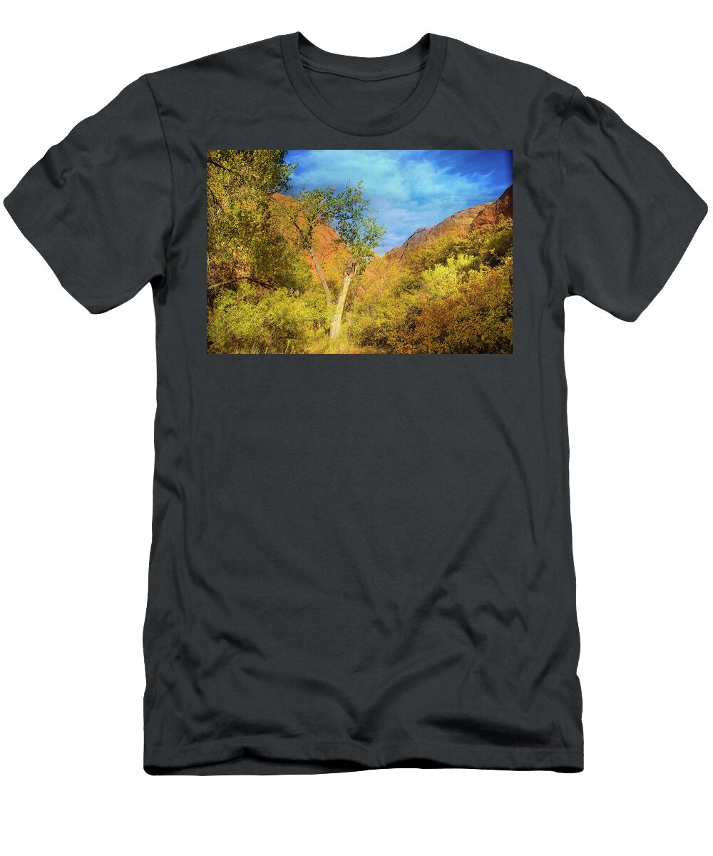 Autumn Colors in Coyote Gulch Kunal Mehra T-Shirt