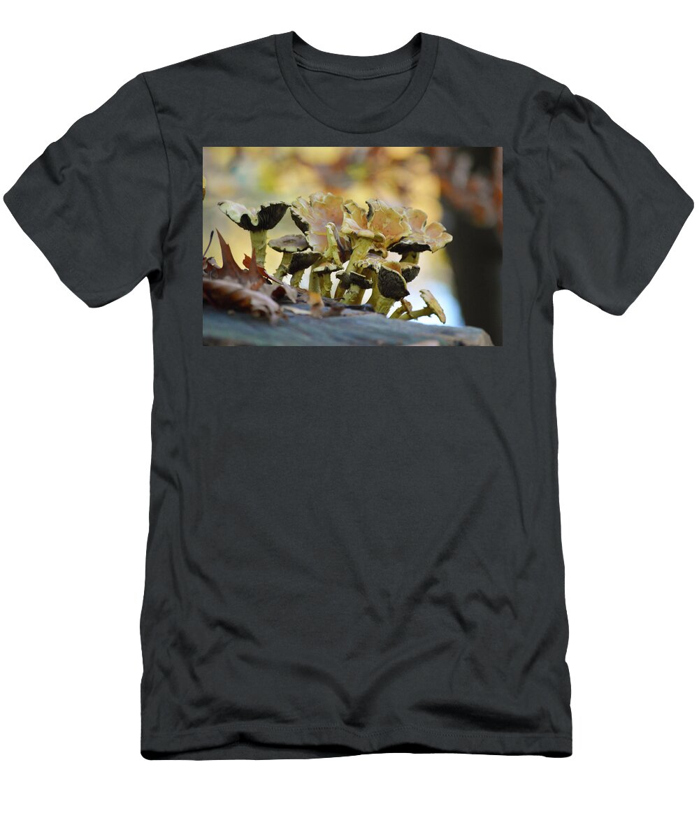 Autumn Forest Mushrooms Johan Ferret T-Shirt