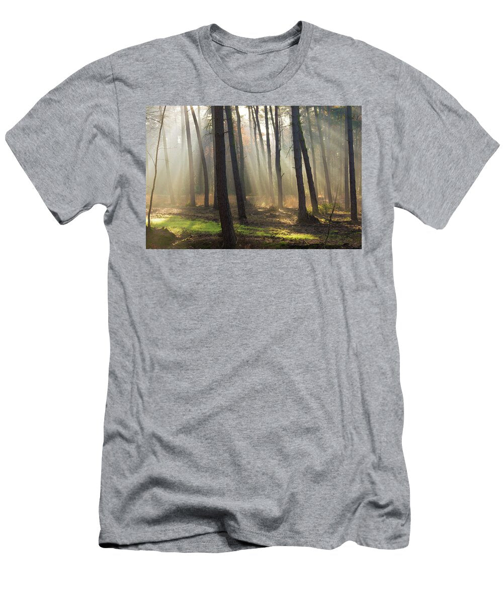Autumn Forest Sun Rays Johan Ferret T-Shirt