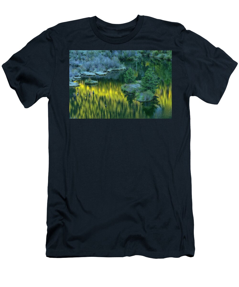 Autumn Plants Reflected in Pond Heeb Photos T-Shirt