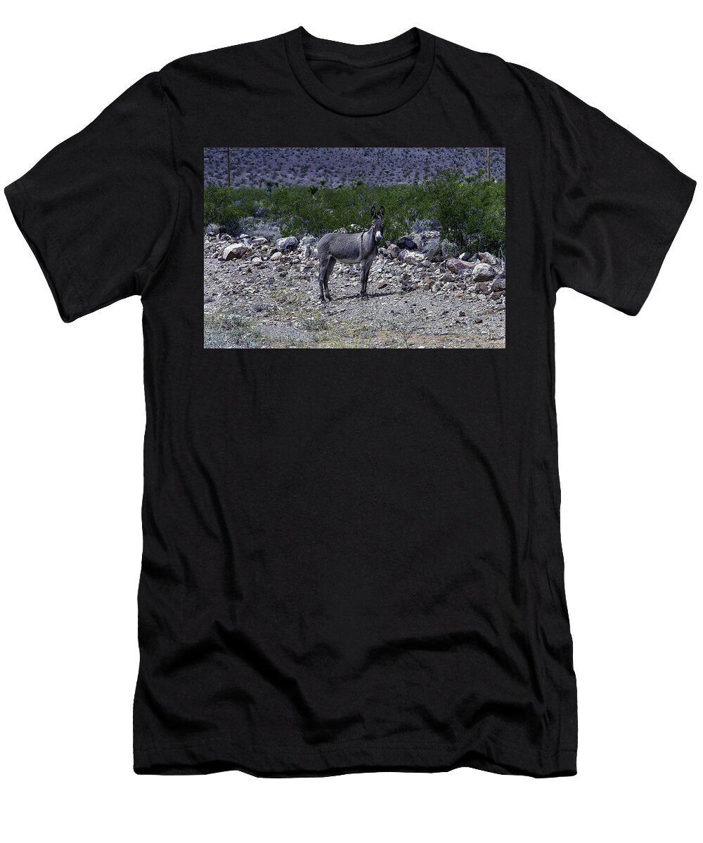 Azorina Donkey Garry Gay T-Shirt